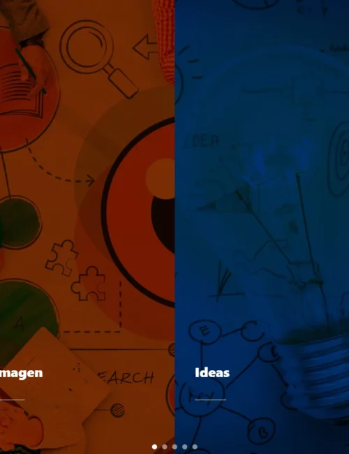 Visualizando