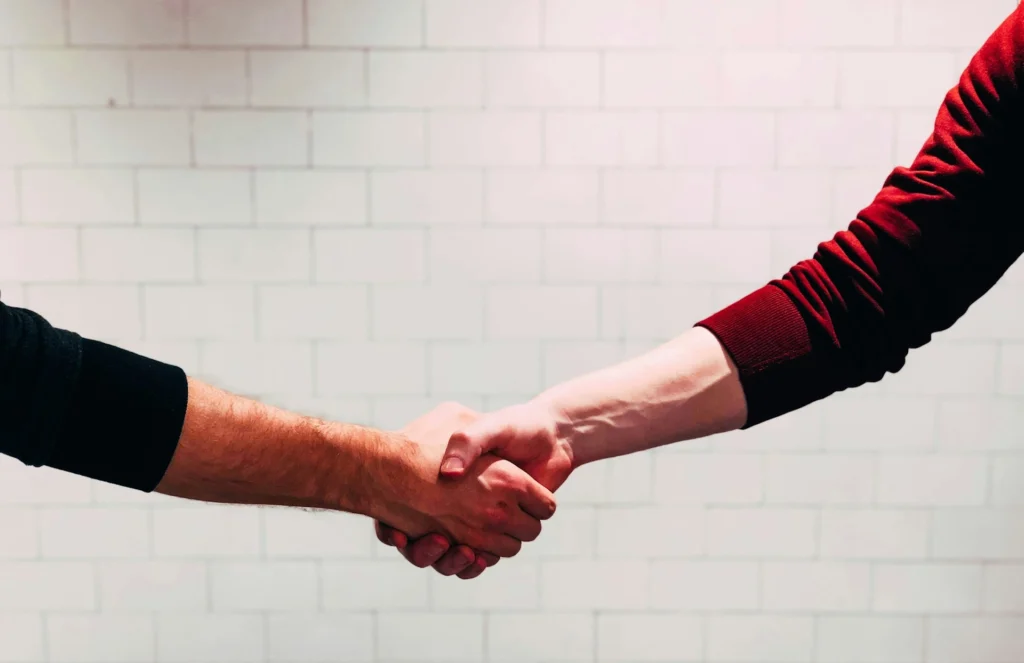 Tu partner para crear experiencias con WordPress